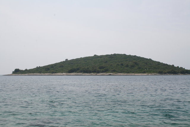 gal/cro 08/small-IMG_4624.JPG